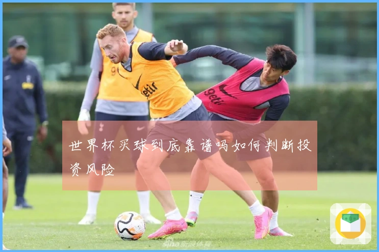 世界杯买球到底靠谱吗如何判断投资风险