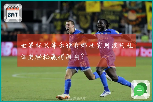 世界杯买球竞猜有哪些实用技巧让你更轻松赢得胜利？