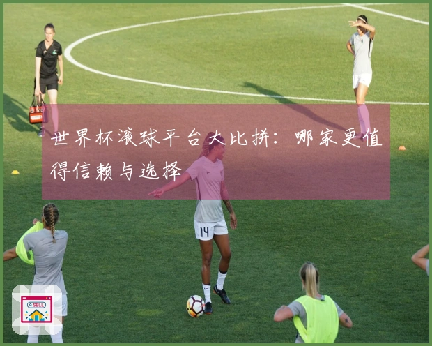 世界杯滚球平台大比拼：哪家更值得信赖与选择