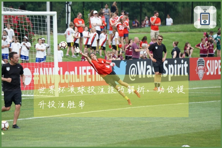 世界杯滚球投注技巧解析，助你提升投注胜率
