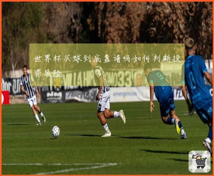 世界杯买球到底靠谱吗如何判断投资风险