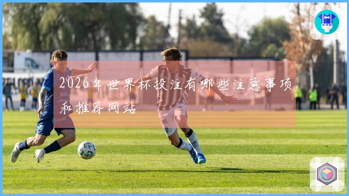 2026年世界杯投注有哪些注意事项和推荐网站