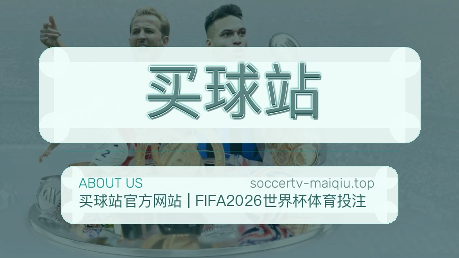 关于 买球站 团队与服务